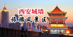 鸡巴日嫩穴视频中国陕西-西安城墙旅游风景区