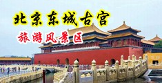 毫乳荡妇中国北京-东城古宫旅游风景区